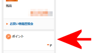 ポイント数が表示されていない