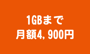 1GBまで_月額4900円