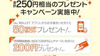 最大250円相当がもらえるキャンペーン