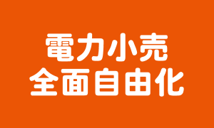 電力小売全面自由化