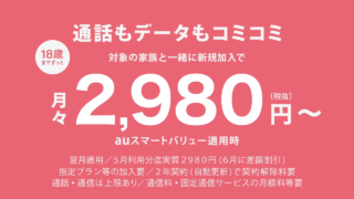 auの学割天国_2980円