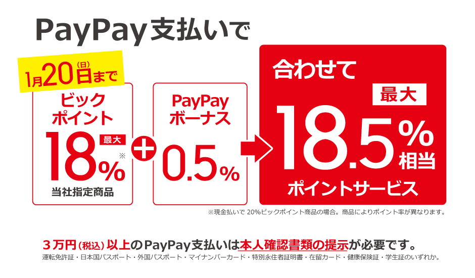 ビックポイント_PayPay