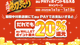 家電量販店×au PAY