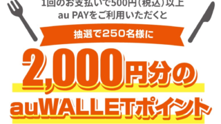 高知エリア