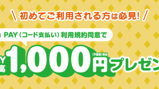 利用規約同意でもれなく千円