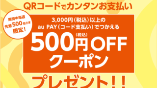 マックハウス×au PAY