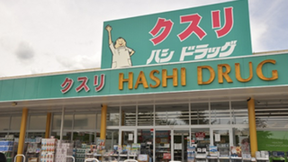 ハシドラッグ